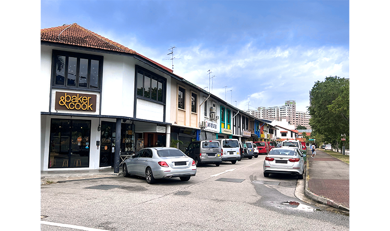 Shophouses on Swan Lake Avenue, 2022. Photo by and courtesy of Veronica Chee.